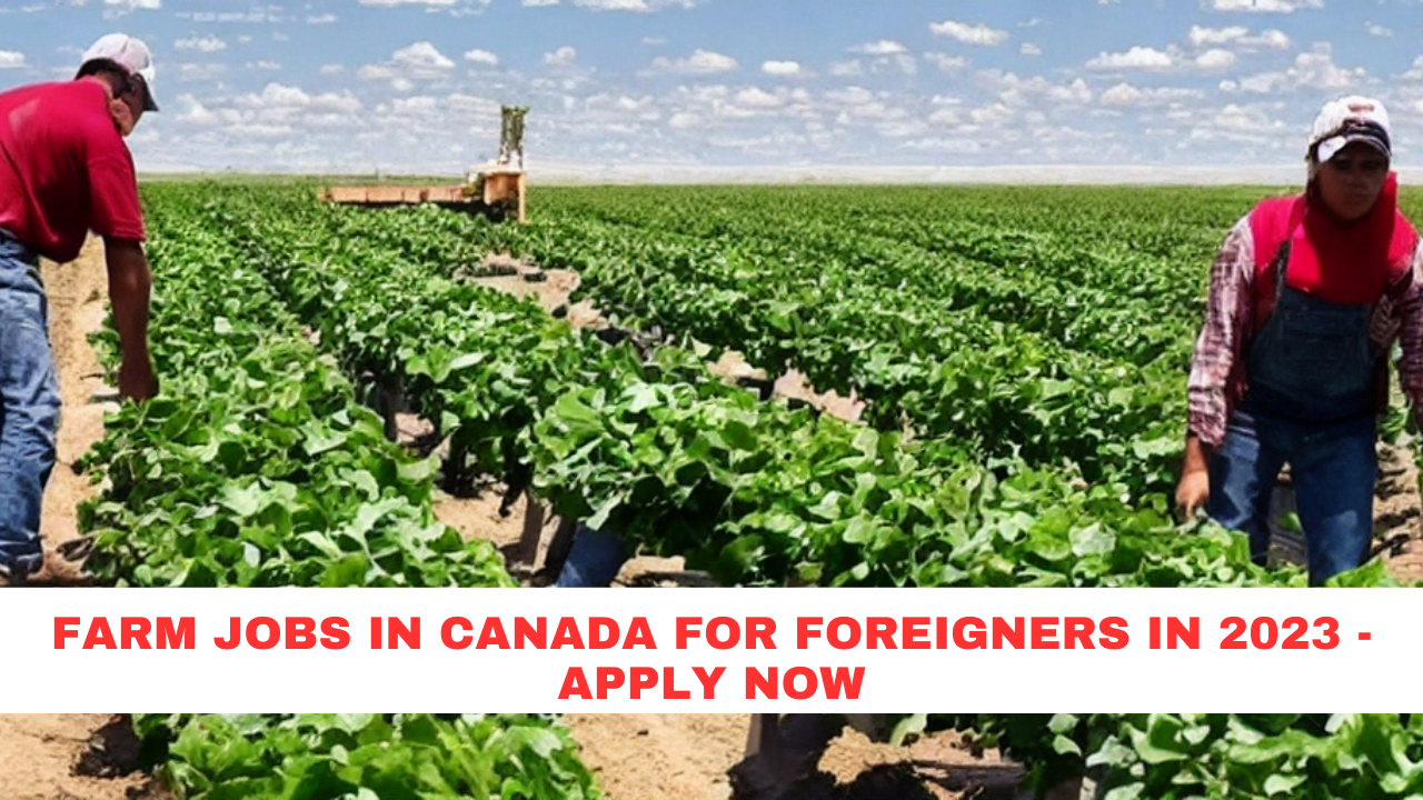 Farm Jobs in Canada For Foreigners in 2023 - Apply Now