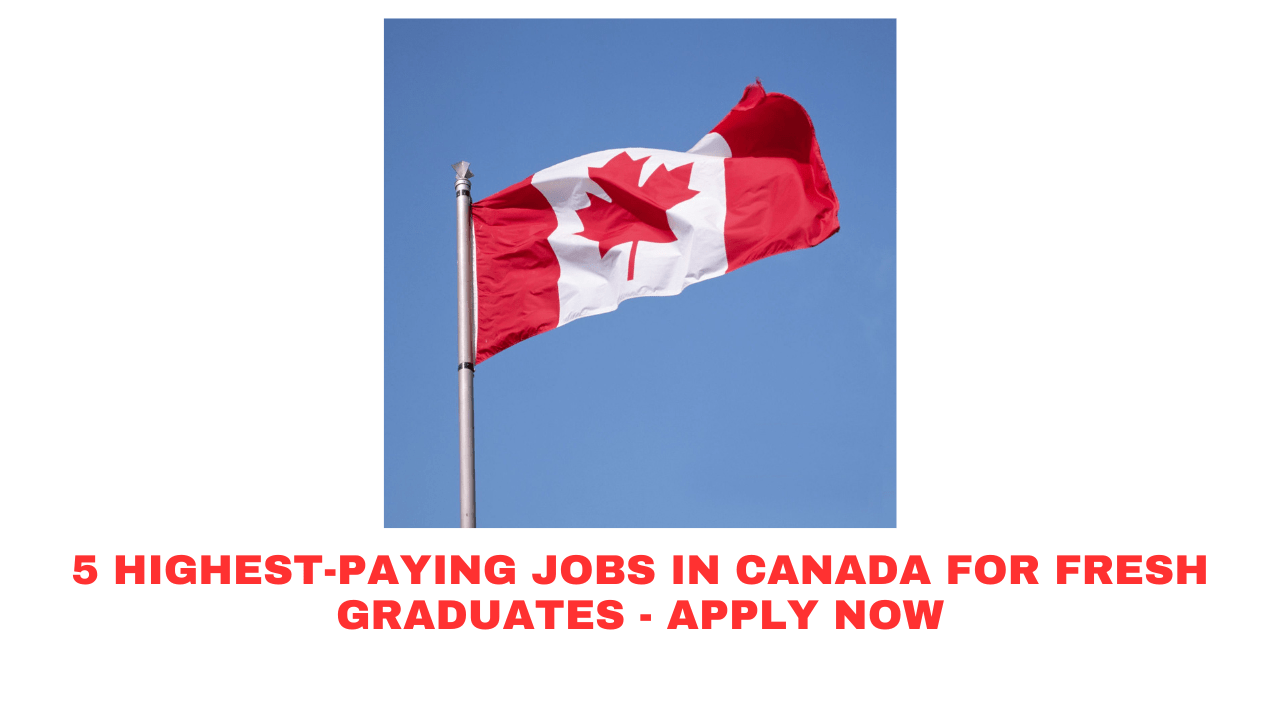 5 Highest-Paying Jobs in Canada for Fresh Graduates - Apply Now