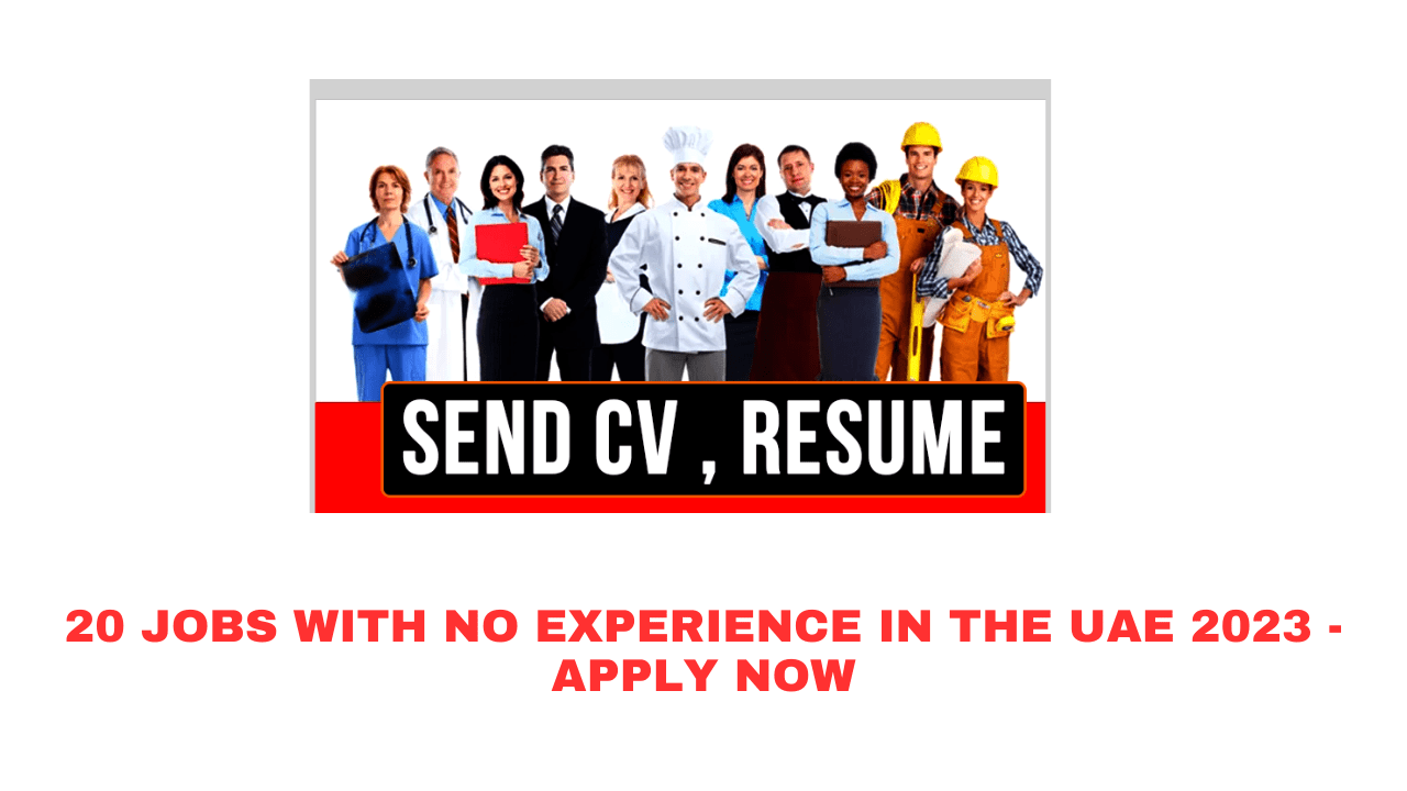 20 Jobs with No Experience in the UAE 2023 - Apply Now