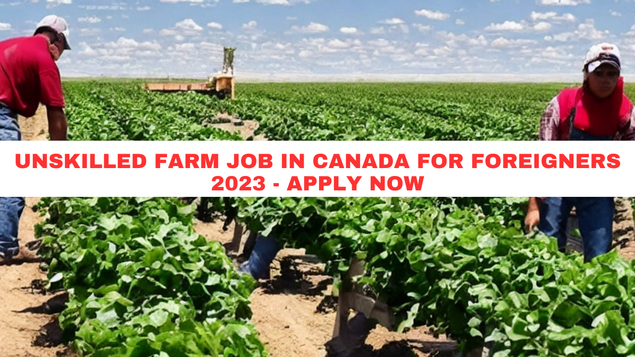 Unskilled Farm Job in Canada for foreigners 2023 - Apply Now