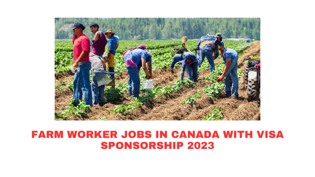 Farm Worker jobs in Canada with Visa Sponsorship 2023